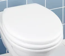 درب و حلقه طبی توالت فرنگی